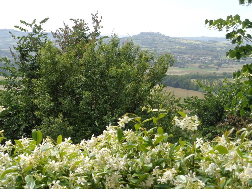 Agriturismo La Torraccia Todi Eksteriør bilde